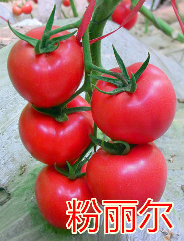 ۹c鿴ԔϢ