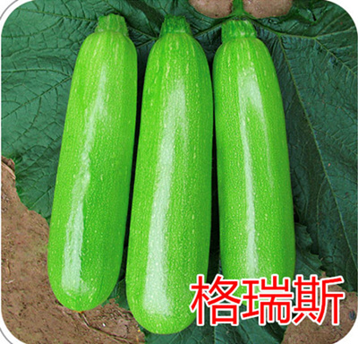 Խ**˹c鿴ԔϢ