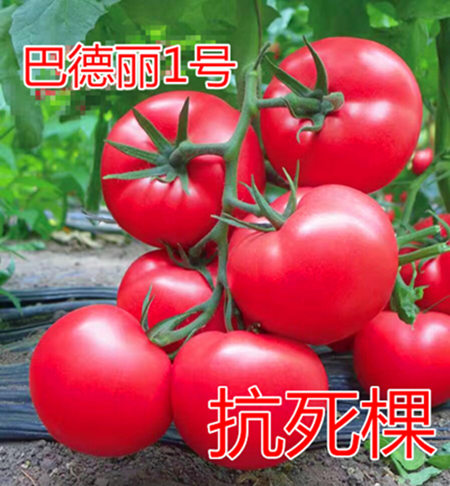 ͵1̖c鿴ԔϢ