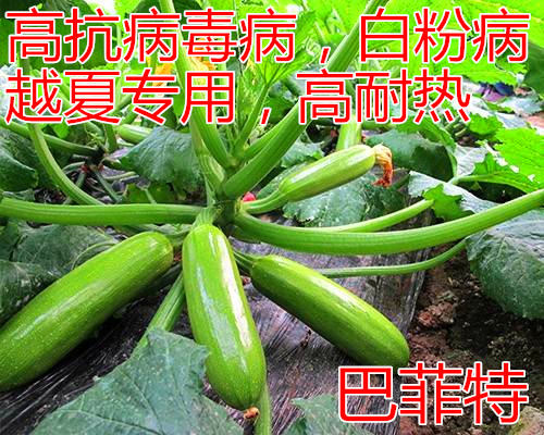 ͷc鿴ԔϢ