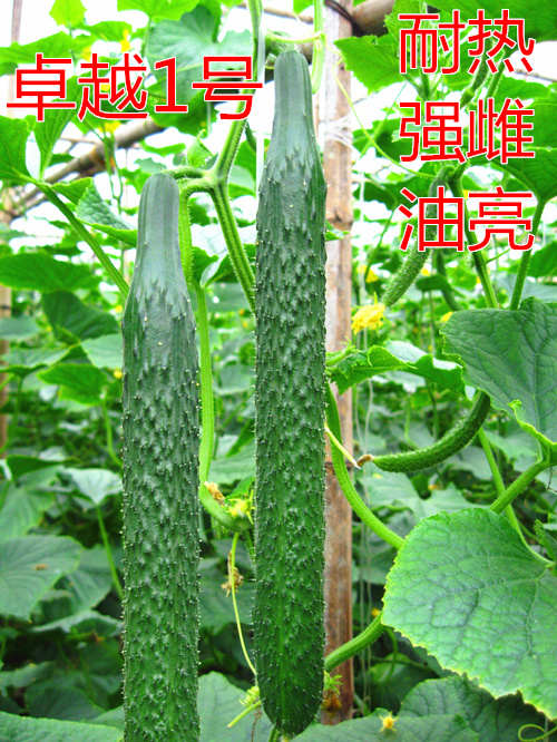 (qing)͟Sϡ׿Խһ̖(ho)c(din)鿴Ԕ(x)Ϣ